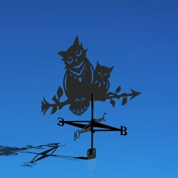 

Vane Owl