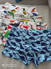 Ropa interior de algodón para bebés, pantalones cortos de dibujos animados de dinosaurios, para niños pequeños, 5 uds.