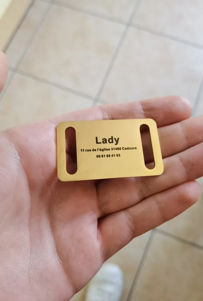 Personalized Pet ID Tag Slide-on Engraved Stainless Steel Name Tags Collar Accessories Pendant Free Engraving Dog Tags