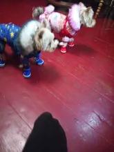 4 unids/set zapatos para perros de invierno de perro caliente botas de nieve zapatos de cuero de la PU para perros pequeños perros Chihuahua impermeable antideslizante cachorro para mascotas zapatos