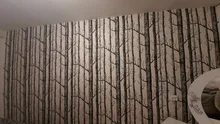 Wallpaper 3D Wood Birch-Tree Forest Living-Room Nordic-Style Black Roll Bedroom White