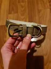 Leather Dog Collar Adjustable Double D-ring Dog Control Small Medium Large Dogs