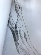 Wallpaper Living-Room Background-Wall 3D Custom And Mural Plants Tropical-Rainforest