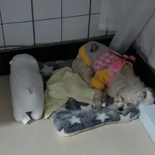 Bed-Mat Cushion Pet-Blanket Home-Rug Fleece-Pad Sleeping-Cover Cat Sofa Puppy Dog Soft-Flannel