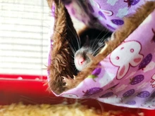 Hammock Hamster Hanging-Nest Pet-Supplies Bird Sleeping-Bed Chinchilla-Squirrel Warm