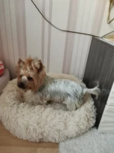 Bed Cushion House Sofa Pet-Products Dogs-Basket Cat-Bed Animals Round Plush Soft Best