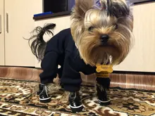 4 unids/set zapatos para perros de invierno de perro caliente botas de nieve zapatos de cuero de la PU para perros pequeños perros Chihuahua impermeable antideslizante cachorro para mascotas zapatos