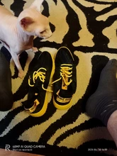 Zapatillas deportivas antideslizantes transpirables para hombre, Calzado informal vulcanizado para hombre, 2019, cordones resistentes al desgaste