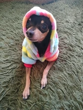 Mono para Perro suave y cálido, pijama de lana para mascotas, Ropa para perros, abrigo, chaqueta, Chihuahua, Yorkshire