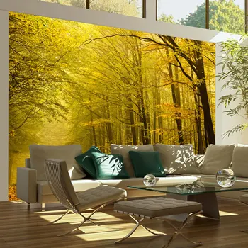 

Wall mural-Road in Forest autumn-250x193 cm