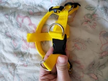 Arnés de seguridad LED de nailon para mascotas, producto para perro, Con luz intermitente, correa, Collar, chaleco, suministros para mascotas