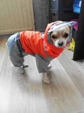 Jumpsuit Raincoat Pet-Cloak Teddy Waterproof-Jacket HOOPET Dogs Chihuahua for Small Cat