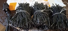 Fairy-String-Lights Garland LED Wedding Christmas-Party Home-Decoration Outdoor Waterproof