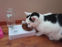 Pet-Supply Dish-Bowls Raised-Stand Pet-Cat-Bowl Water-Dispenser Drinking Automatic Dog