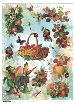 

Rice paper for decoupage craft Premier, A3, 25 g/m, in the garden Li, in the garden cpd0629