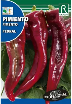 

Professional vegetables PIMIENTO PEDRAL