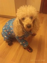 Boots Pet-Shoes Dog Large Waterproof Anti-Skid Small Winter Golden Warm Big 8-Sizes Wear-Resistant