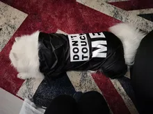 Jacket Rain-Coat Labrador Alaska Puppy-Doberman Waterproof Dogs Large Medium Husky TLC02