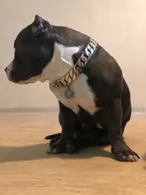 Dog-Chain-Collars Bulldog Pet-Training Stainless-Steel Metal Silver Strong for Large