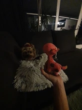 Popular Dog Toys Funny Stuffed Toys Chewing Toy Cartoon Deer Shape Plush Dog Puppy Chew