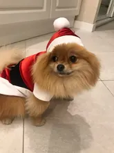 Costume Jackets Yorkie-Outfit Cat-Clothing Puppy Small Dogs Coat Hooded Pet-Dog Winter Dog