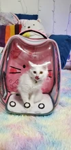 Backpack Pet-Carrier-Bag Dog Travel Transparent Outdoor Breathable for Cat And Space