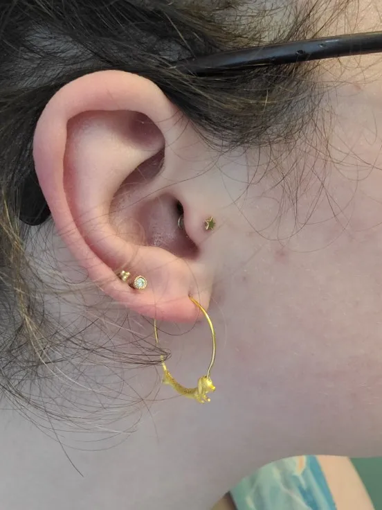 silver dachshund earrings