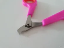 Clippers Claw-Grooming-Scissors Bird-Toys Pet-Nail Animals Rabbit Dog for Cat Gerbil