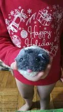 Toy Cat-Toys Mouse Pet Plush-Fur-Toy Little-Mouse Interactive Kitten Cute Funny Gift