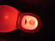 Luces Lamp Decoracion-Lighting Toilet-Night-Light LED Smart Bathroom Body-Motion Activated-On/off-Seat-Sensor