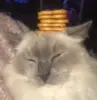 Изображение товара 5