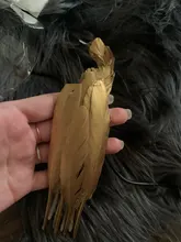 Handicrafts-Accessories Wedding-Party-Decoration DIY Christmas Feathers-5-7inches Gold-Plated