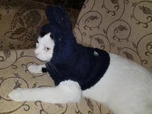 Ropa de Gato caliente para mascotas, abrigo, chaqueta para perros pequeños, medianos, gatos, Chihuahua, ropa de Yorkshire, disfraz rosa, S-2XL