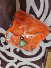 Reflectante cachorro gato arnés chaleco caminar perro ajustable Collar de gatito de malla de poliéster arnés para pequeño mediano perros