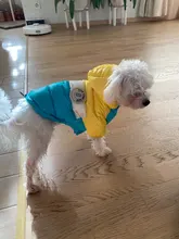 Outfit Jacket Hoodie Dog Warm Waterproof Winter Coat Splice Pet-Puppy 6-Colours 8-Sizes