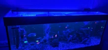 Led-Lamp Dimmer Fish-Tank-Light Aquarium Sunrise Sunset Marine Automatic Full-Spectrum