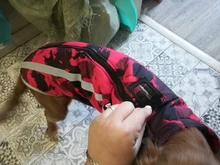 Dog Coat Dog-Jacket Labrador Reflective Large Breed Chihuahua Waterproof Winter Overalls