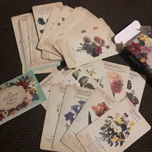 Cartas de oráculo de inspiración botánica, cartas divertidas de oráculo para fiesta familiar, juegos de mesa en inglés, cartas de Tarot