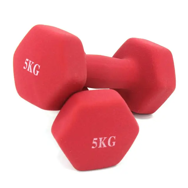 Dumbbells plastic for women, dumbbell Fitness lasting, with style, smooth surface, from 3 kilos, portable optional, 2 pieces 5.0KG