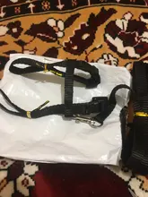 Pet Cat Collar Harness And Leash Adjustable Nylon Pet Traction Dog Kitten Halter Collar