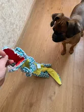 Cute Pet Dog Toys Chew Squeaker Animals Pet Toys Plush Puppy Honking Squirrel For Dogs