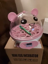 9-Eggs-Incubator Brooder Quail Chicken-Duck Manual Birds Mini Cute