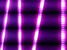 LED Grow Light 220V 110V Full Spectrum LED Lamp for Plants High Luminous Efficiency Phytolamp