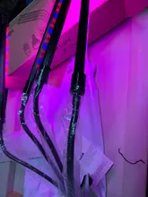 LED Grow Light USB Phyto Lamp Full Spectrum Grow Tent Complete Kit Phytolamp for Plants