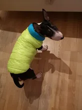 Vest Dog Jacket French Bulldog Waterproof Coat Pet-Outfit Dogs-Pet Winter Large Medium