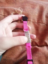 Collar personalizado con identificación de gato, Collar de seguridad para perros pequeños, con grabado de nailon, ajustable, para cachorros y gatitos