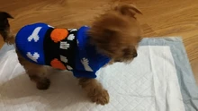 Sweater Bulldog-Outfit Chihuahua-Coat Knitted French Winter Dogs Warm for Small Pug-Clothing
