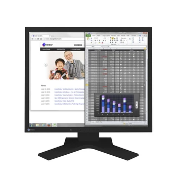 

EIZO FlexScan S2133 - Monitor Profesional 21" 1600 x 1200 (4:3) IPS, angulo visión 178° , 420 cd, 6 ms, LED, VGA, DVI-D, Display