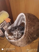 Cat Bed Nest Kennel Dog-Beds Cat-House Princess-Bed Dogs Washable Small Warm for Pet-Dog