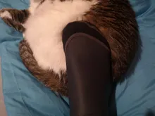 Calcetines de buceo de nailon de neopreno, medias para esnórquel, para playa, deporte acuático, 1,5 MM, envío gratis